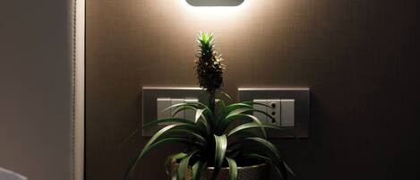 A bedside table with a potted plant, a wall-mounted light, and a power outlet.
