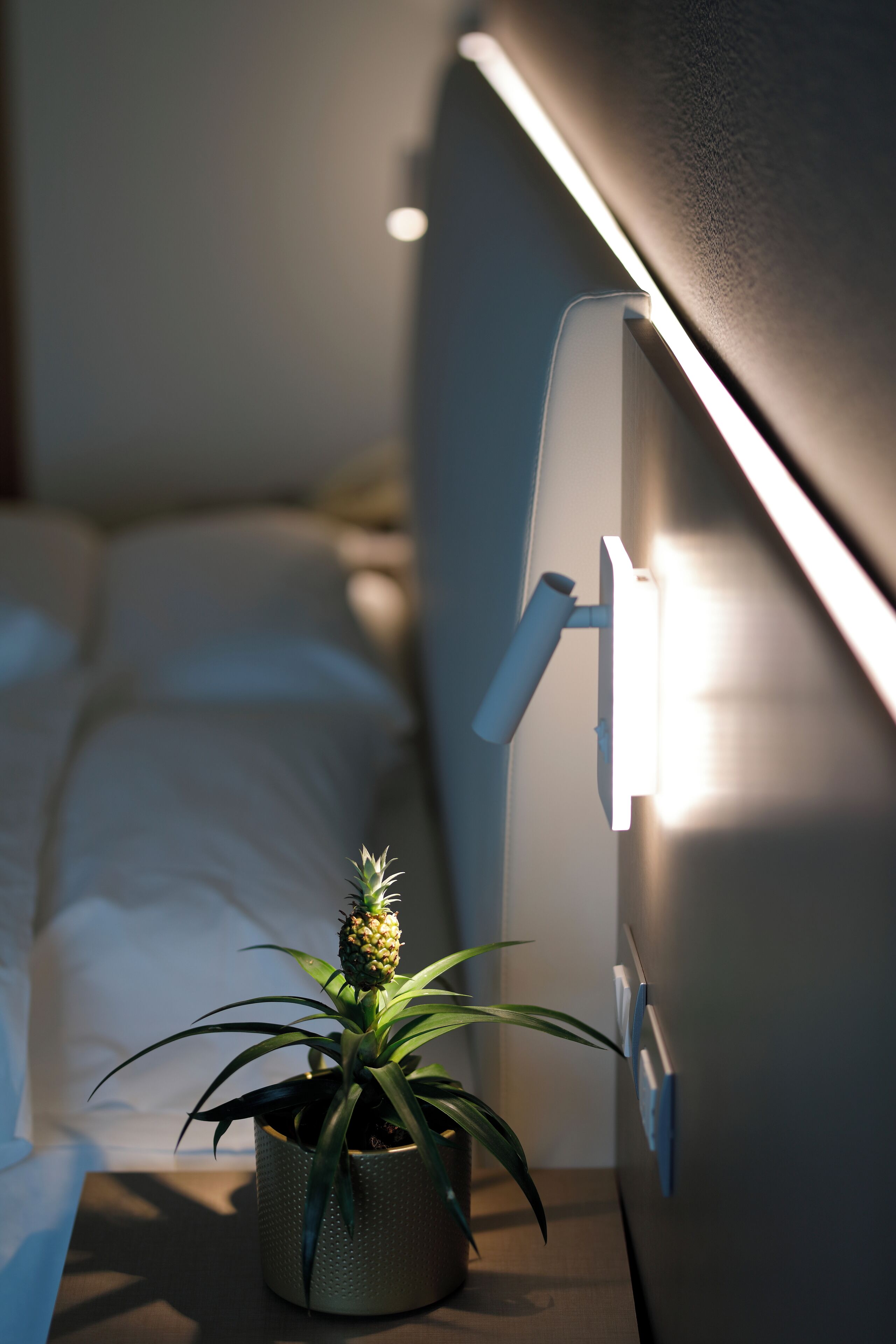 Una cama con ropa de cama blanca, una planta en maceta sobre una mesita de noche y una lámpara de pared.