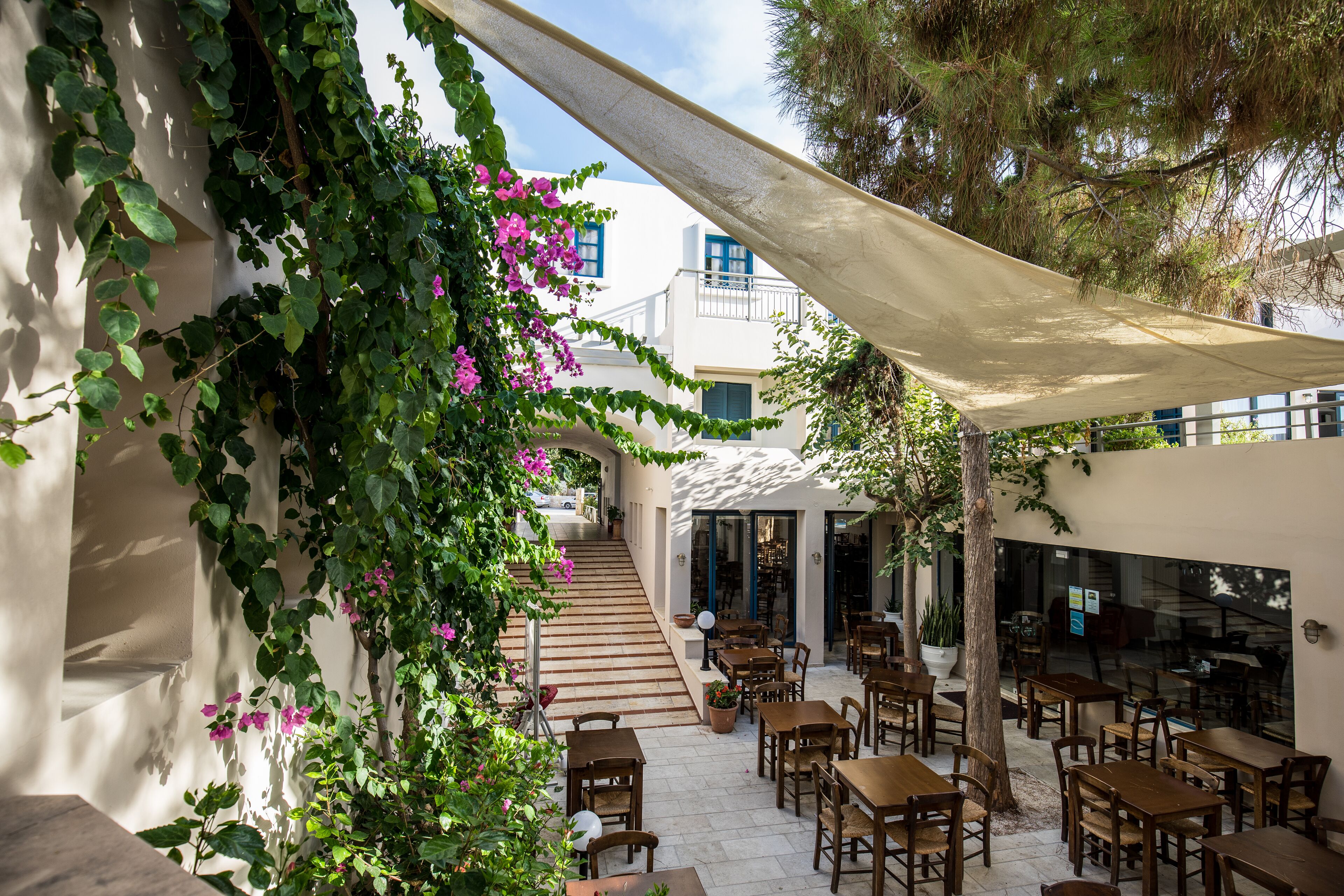 Un área de café al aire libre con mesas y sillas de madera, rodeada de follaje y un edificio con una escalera que lleva a un nivel superior.