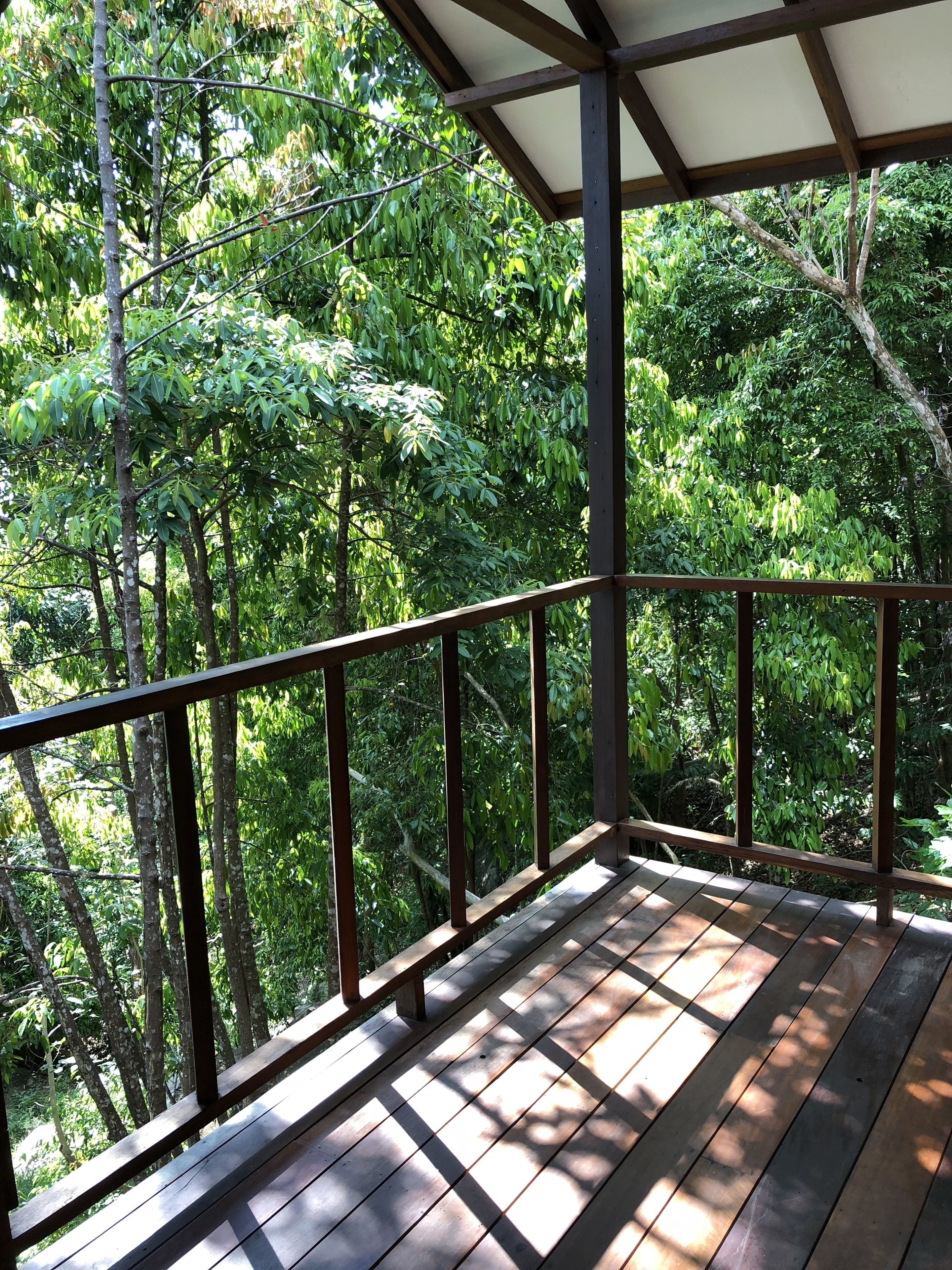Um deck de madeira com guarda-corpo de metal, cercado por folhagem verde densa.