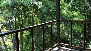 Um deck de madeira com guarda-corpo de metal, cercado por folhagem verde densa.