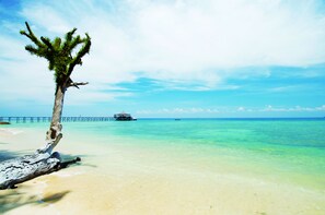 A beach with clear turquoise water, a palm tree, and a pier in the distance. - Japamala Resort by Samadhi  (Tioman Island)