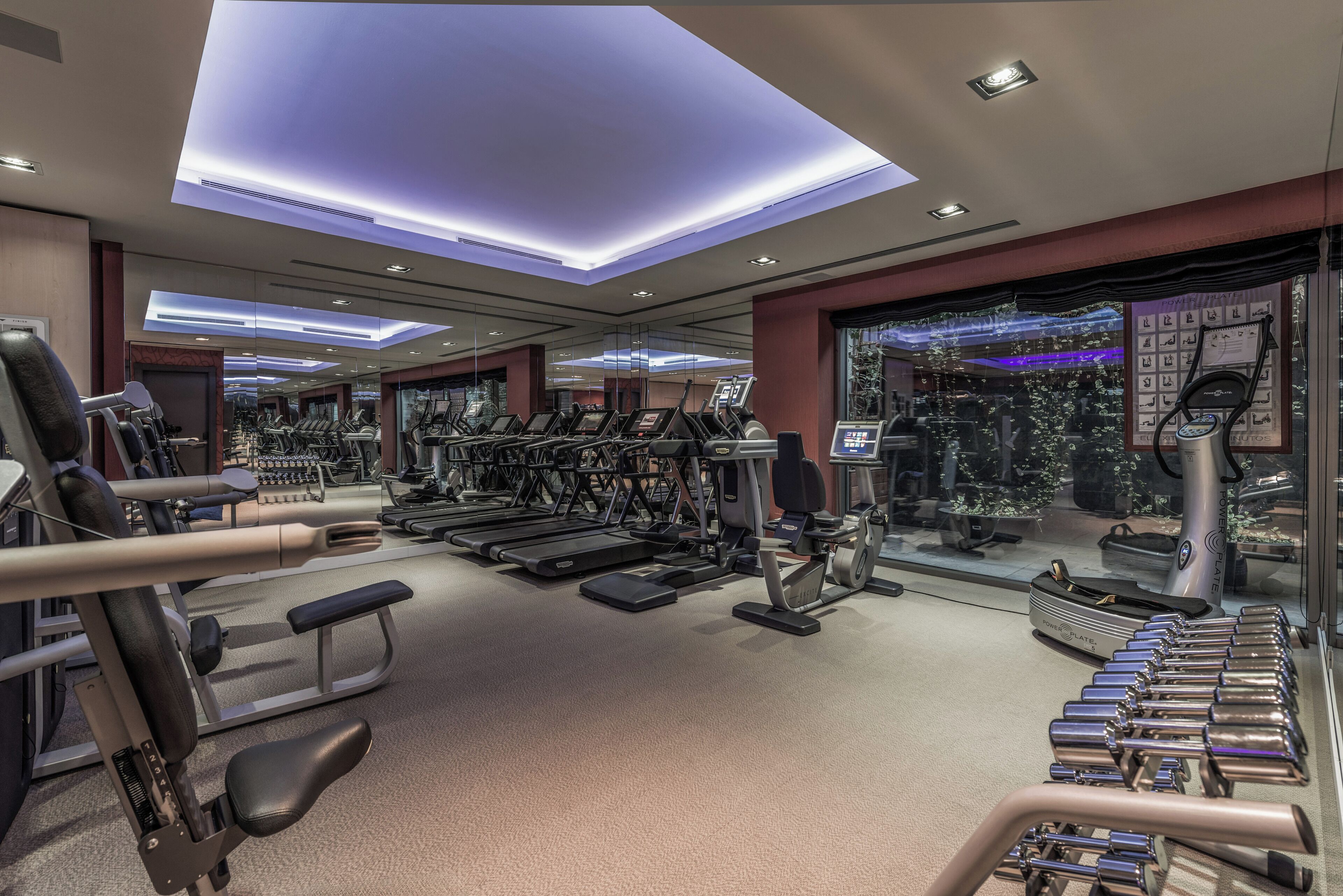 A gym with treadmills, weight machines, and exercise equipment.