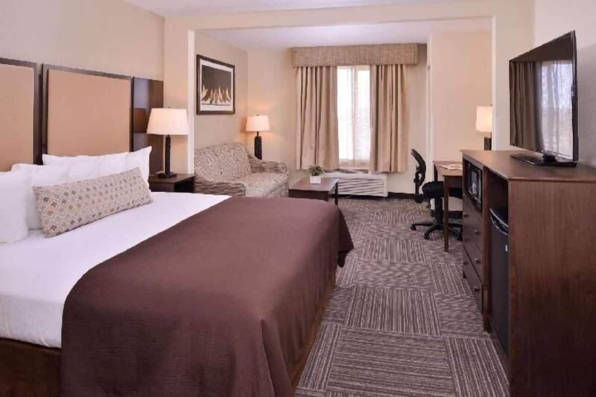 Une chambre d’hôtel avec un grand lit, un bureau, une chaise, une télévision et une fenêtre avec des rideaux.