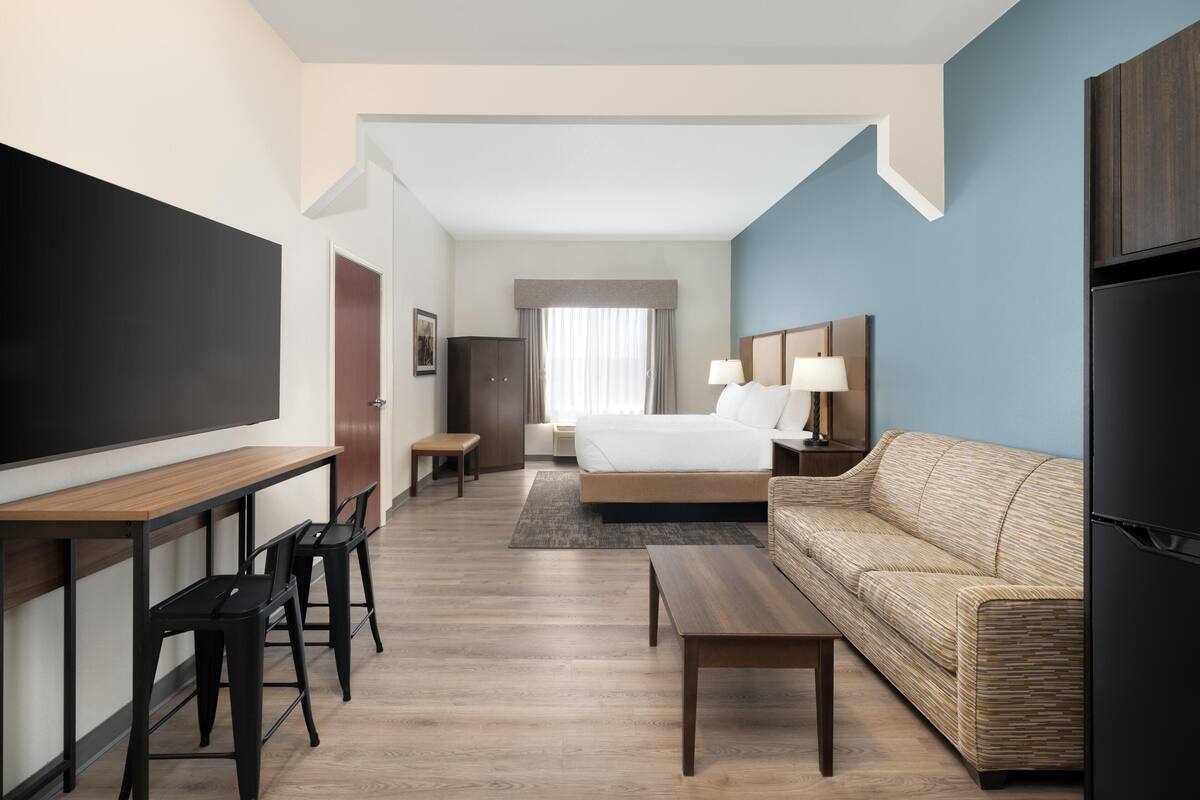 Une chambre d’hôtel comprenant un lit, un canapé, un bureau avec des chaises, une télévision et un réfrigérateur.