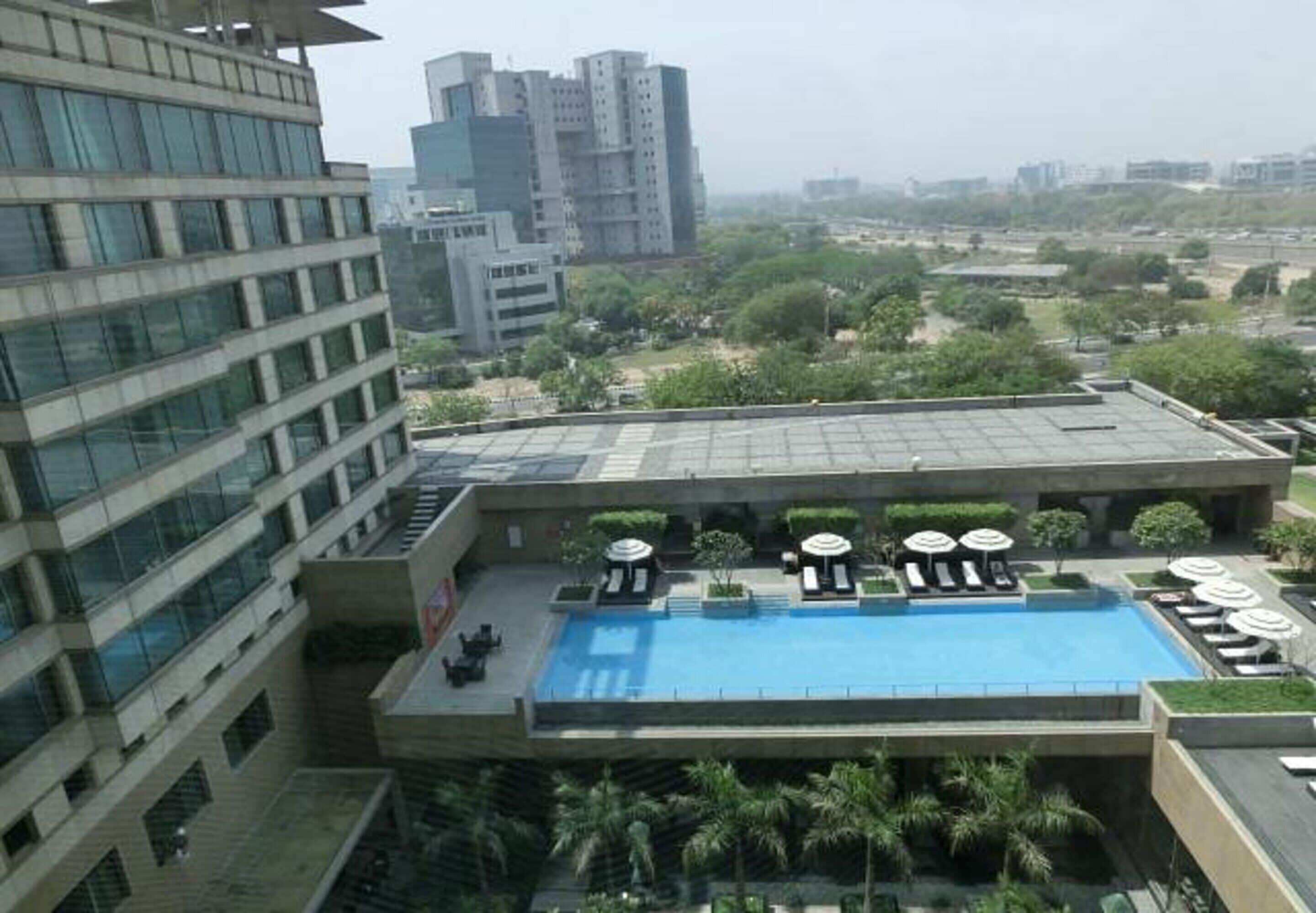 A rooftop pool with lounge chairs and umbrellas, surrounded by greenery and modern buildings.