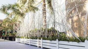 A landscaped area with palm trees and white fences.