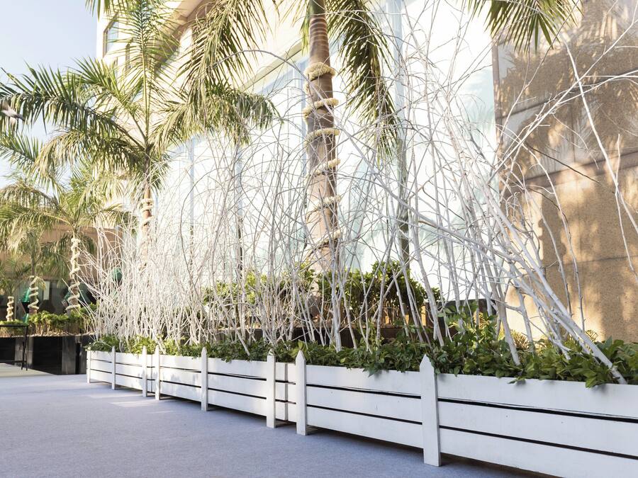 A landscaped area with palm trees and white fences.