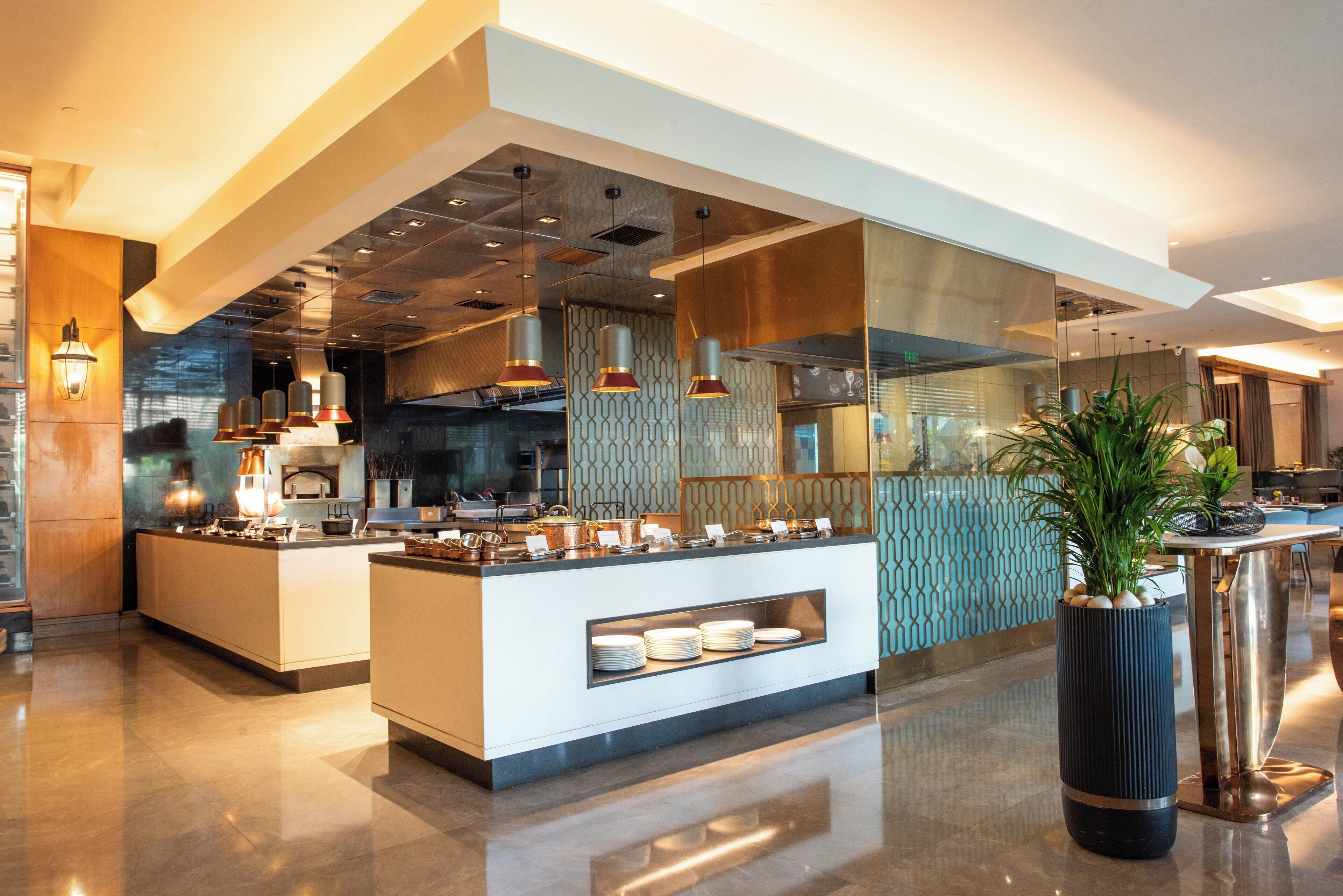 A modern kitchen with a central island, pendant lighting, and a large potted plant.
