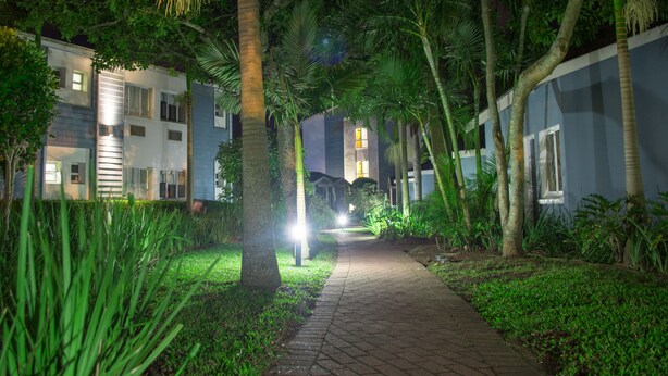 Un sentier bordé de palmiers et un bâtiment dont les fenêtres sont illuminées.