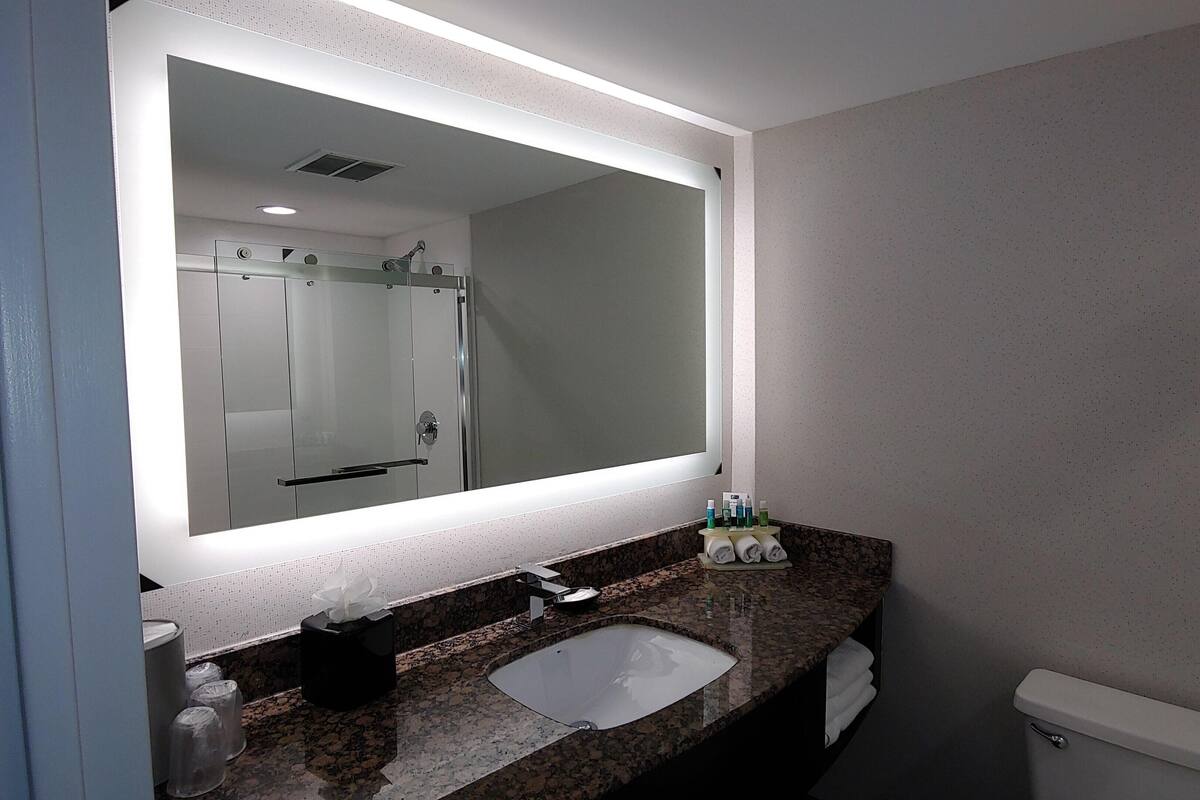 Bathroom | Combined shower/tub, free toiletries, hair dryer, towels