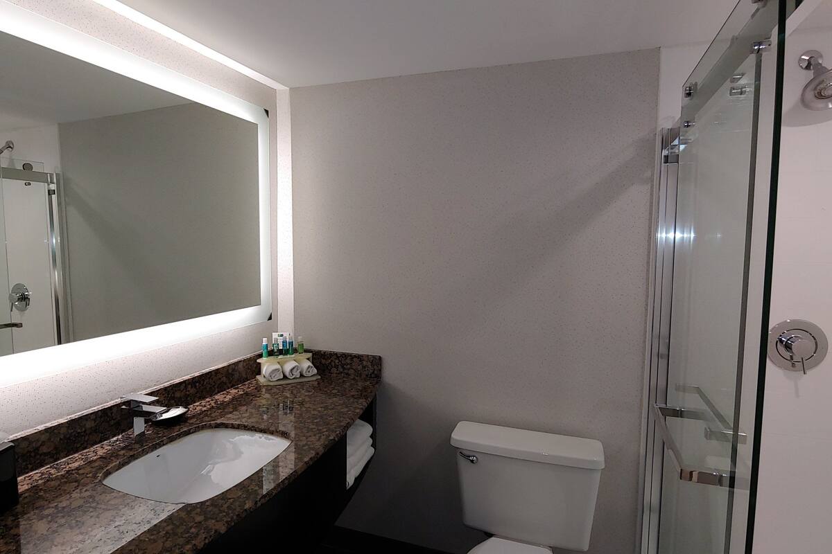 Combined shower/bathtub, free toiletries, hair dryer, towels