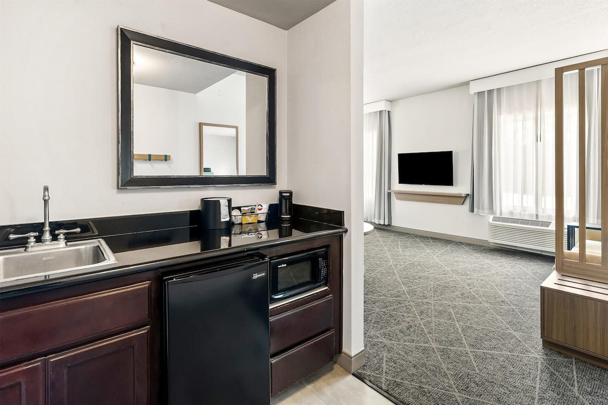 one king studio sofabed non smoking | minibar