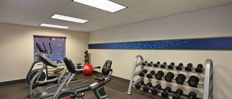A gym with treadmills, a stationary bike, a bench, and a rack of dumbbells.