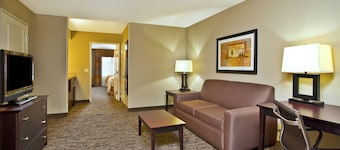 Holiday Inn & Suites Green Bay Stadium by IHG