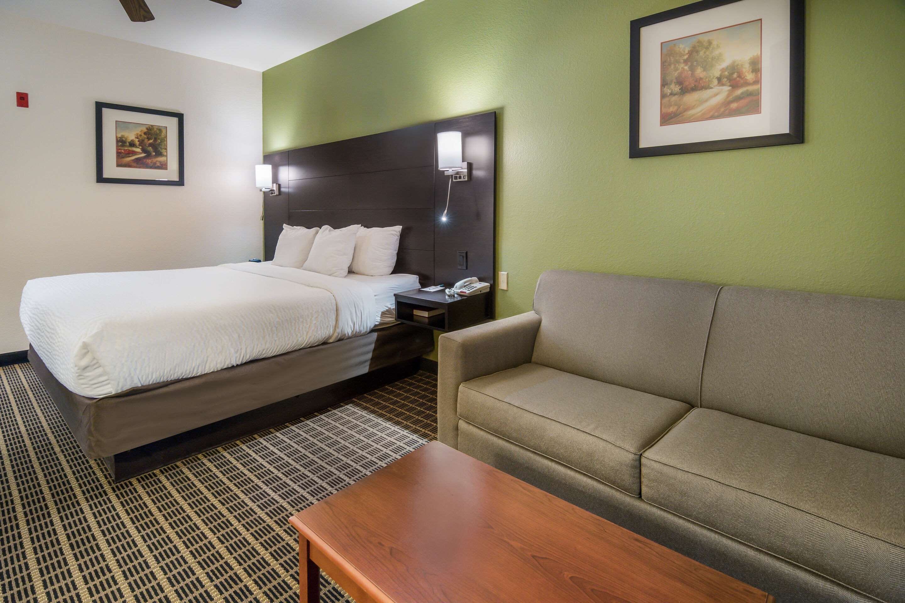 Una habitación de hotel con una cama, un sofá, una mesita de noche y una mesa.