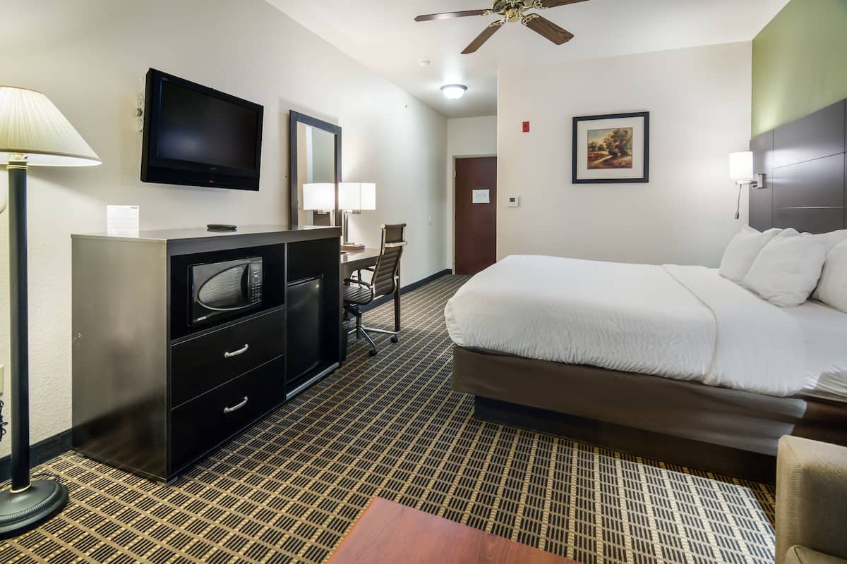 A hotel room with a bed, a desk with a chair, a television, and a ceiling fan.