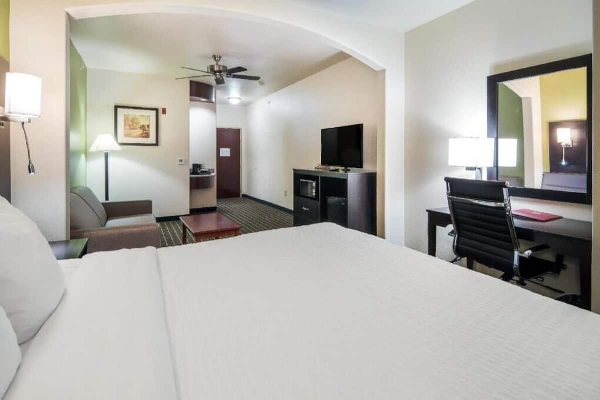 A hotel room with a bed, desk, chair, television, and a ceiling fan.