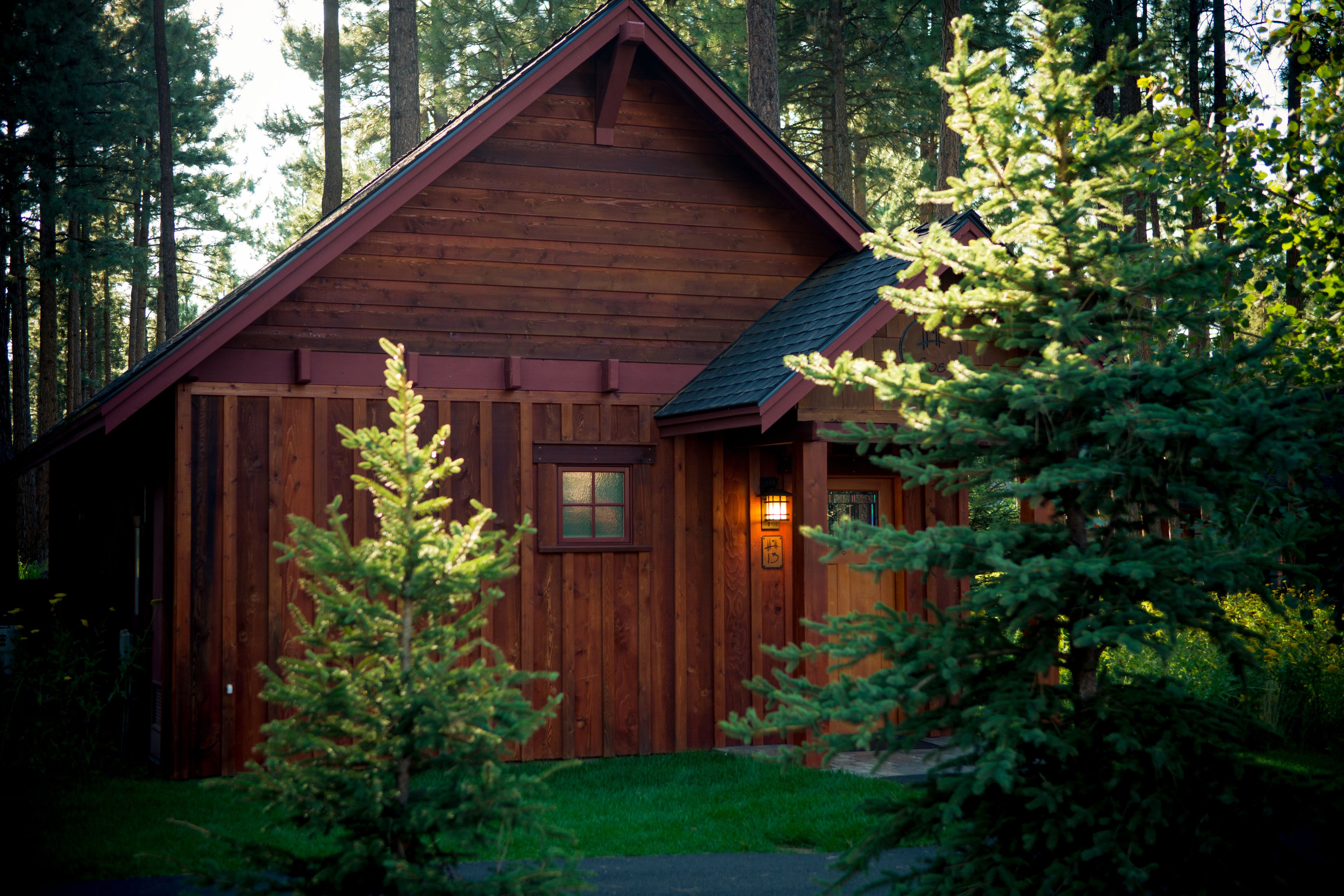 Une cabane en bois avec un toit à pignon, entourée de grands arbres.