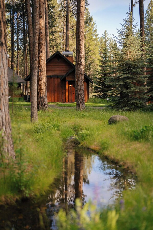 A cabin surrounded by tall trees and a small pond.