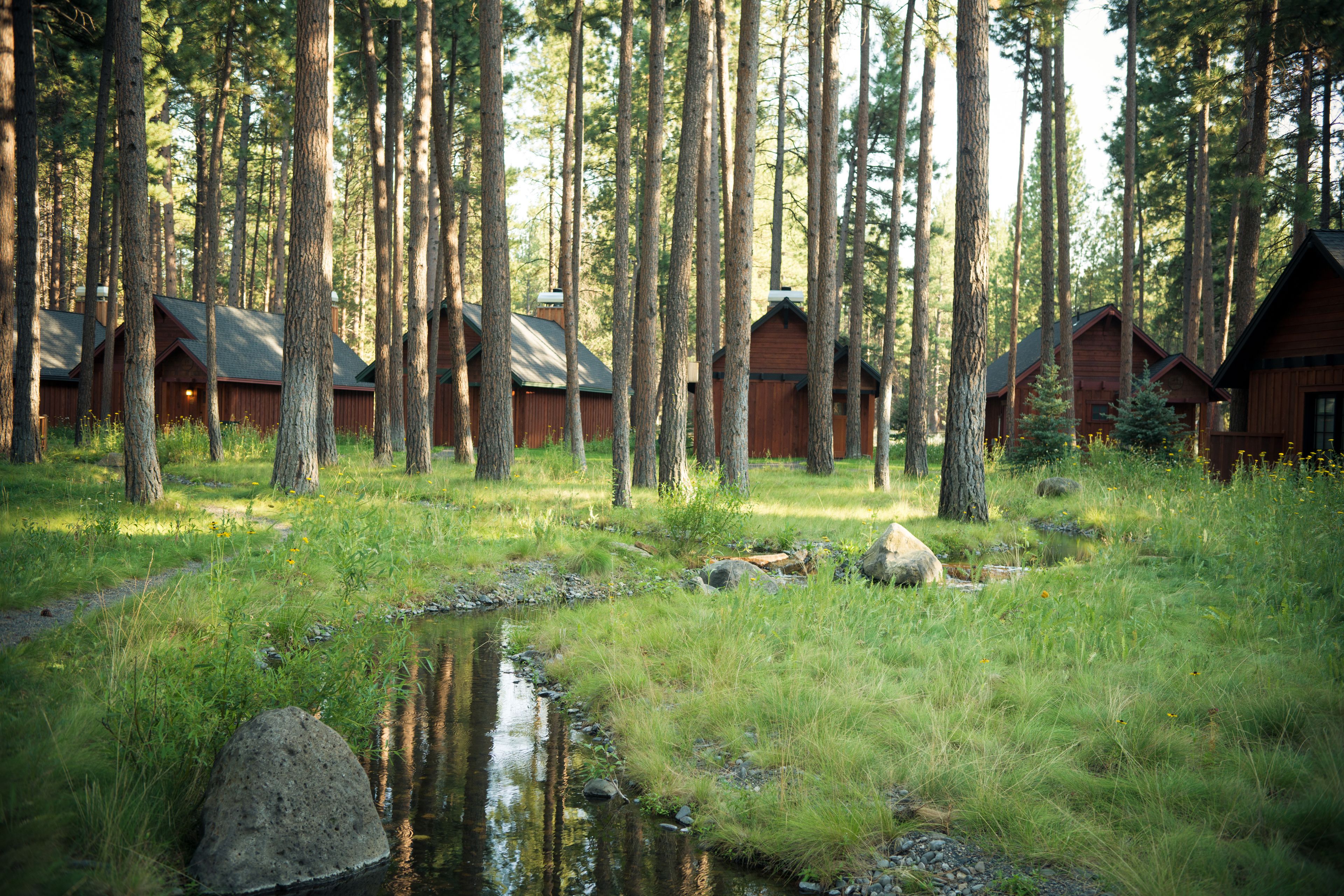 Metsä, jossa on useita puisia mökkejä, pieni puro ja ruohikkoalue.