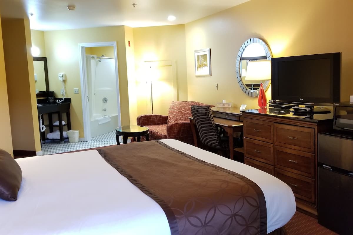 A hotel room with a bed, a desk, a chair, a television, and a microwave.