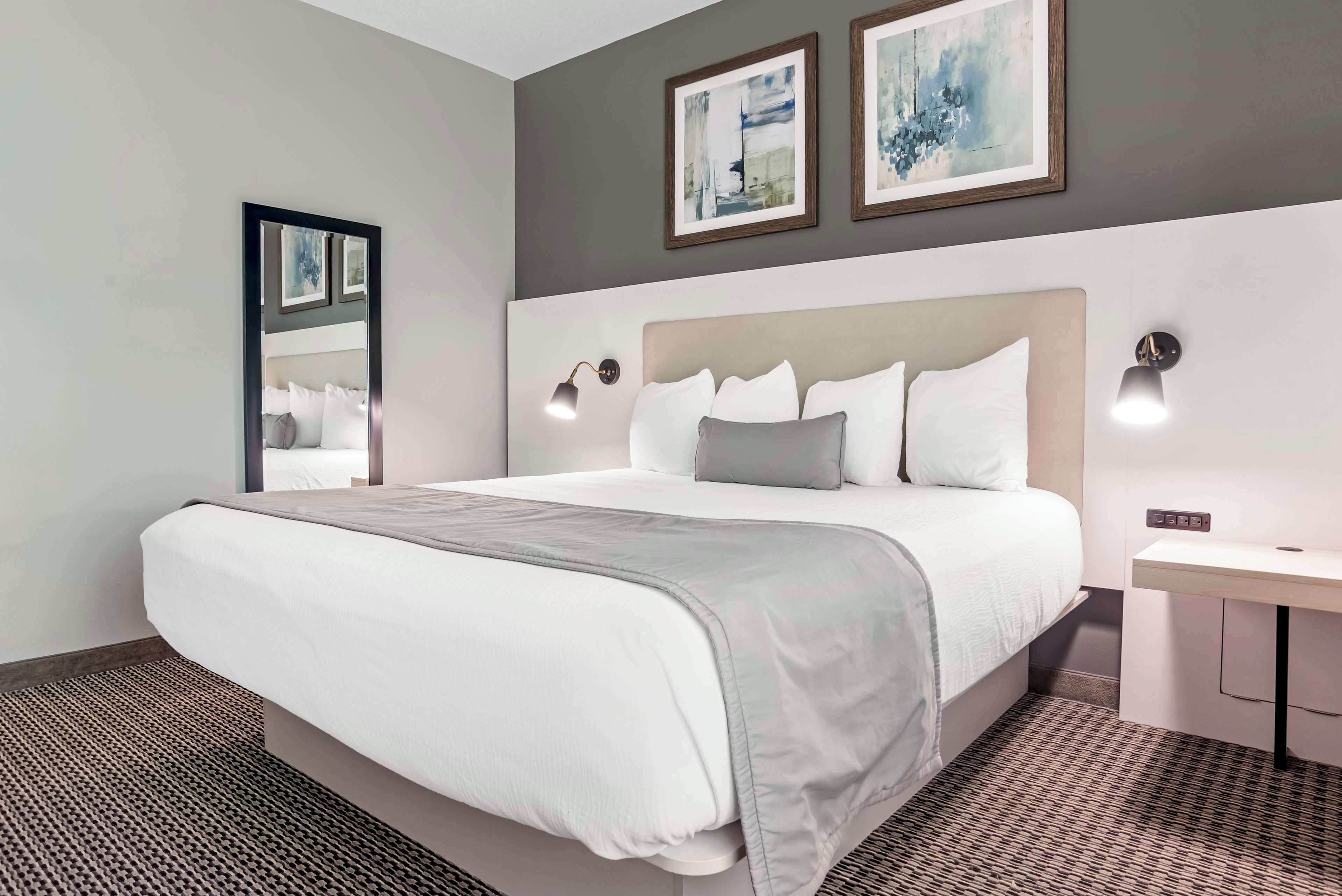 standard room, 1 king bed, accessible, kitchenette | desk, laptop workspace, iron/ironing board, wifi