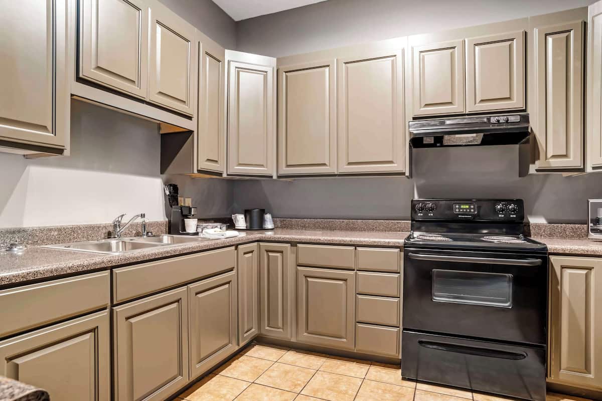 executive apartment, 1 queen bed, non smoking, kitchen (with sofabed) | private kitchen | fridge, microwave, coffee/tea maker