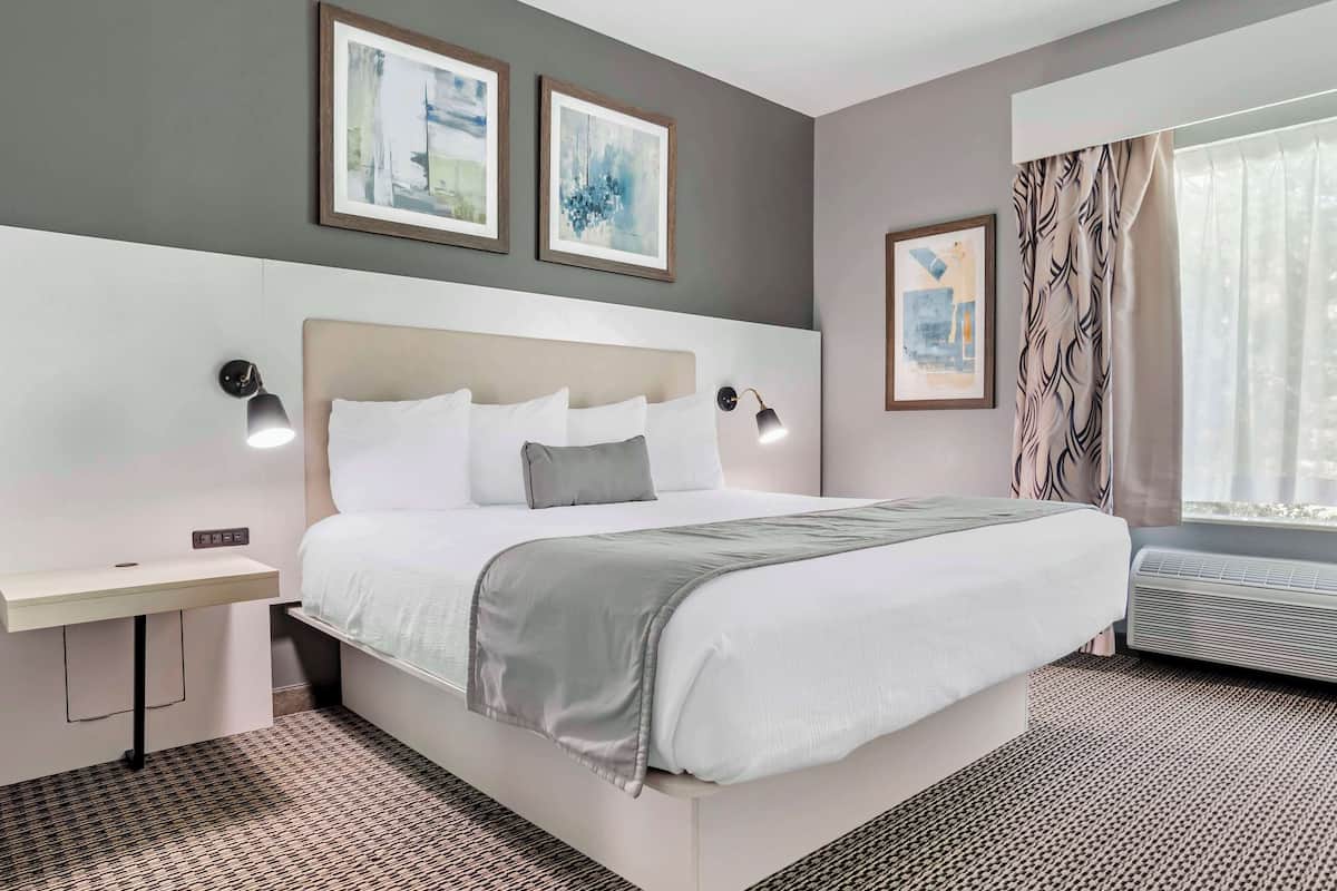 Une chambre d’hôtel moderne avec un grand lit, des tables de chevet, des œuvres d’art accrochées au mur et une fenêtre avec des rideaux.
