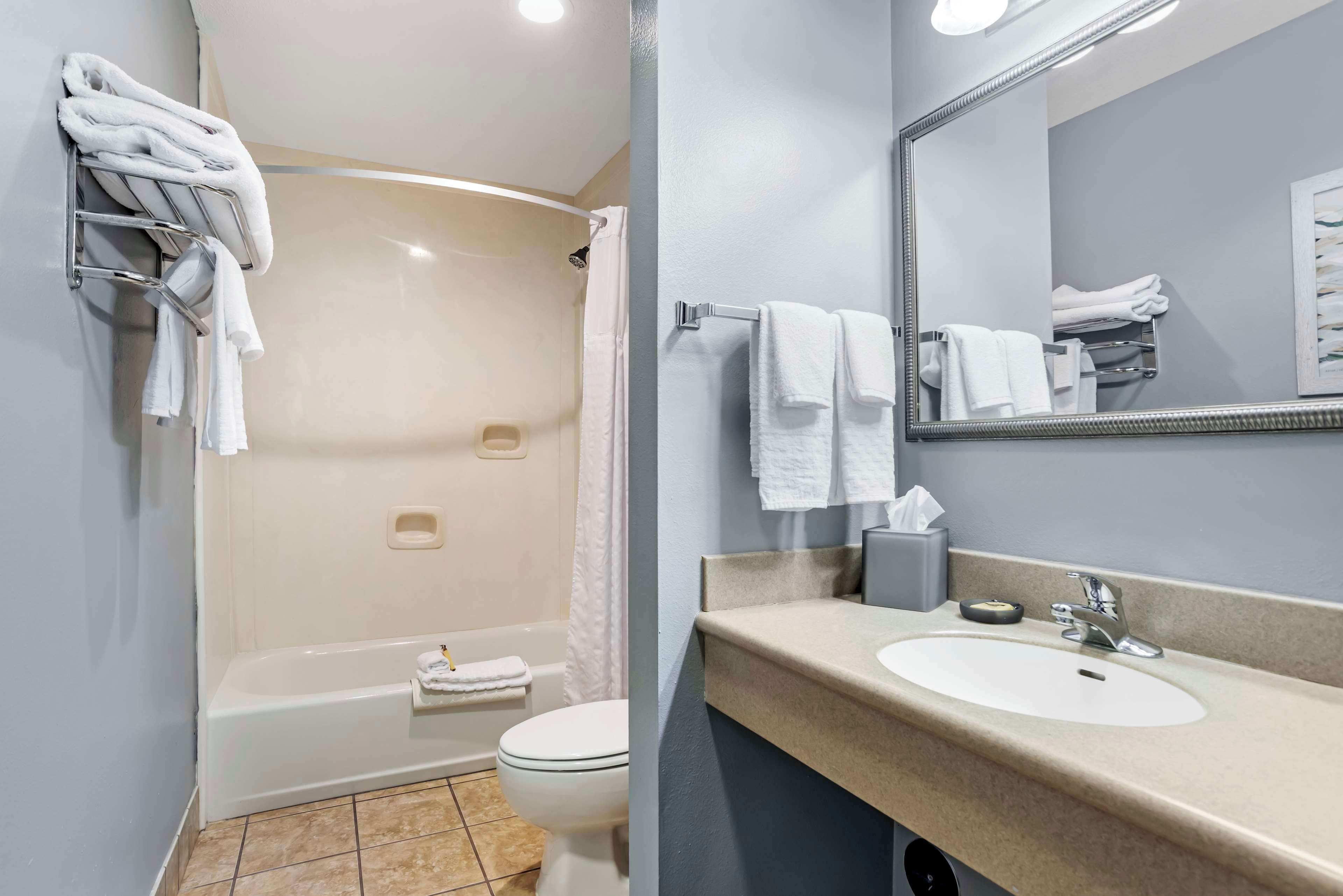 executive apartment, 1 queen bed, non smoking, kitchen (with sofabed) | bathroom | rainfall showerhead, free toiletries, hair dryer, towels