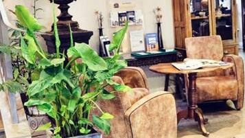 Un hall con una planta grande en maceta, un armario de madera y dos sillones.