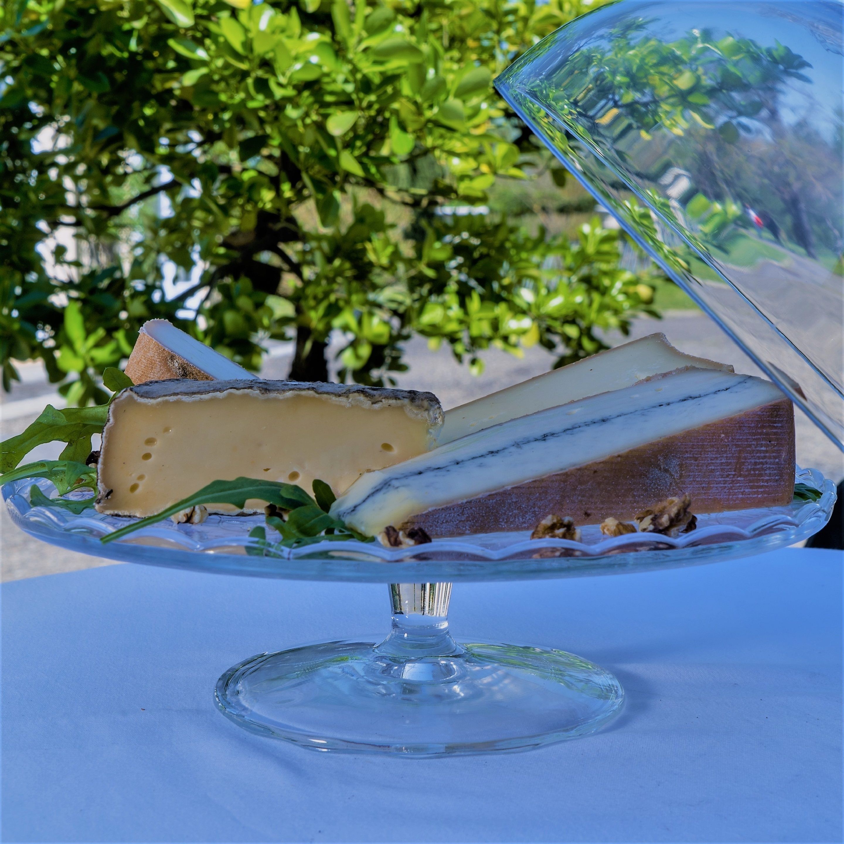 A glass-covered dessert plate with a slice of cheese and nuts on a white tablecloth.