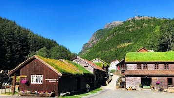 Eksteriør
