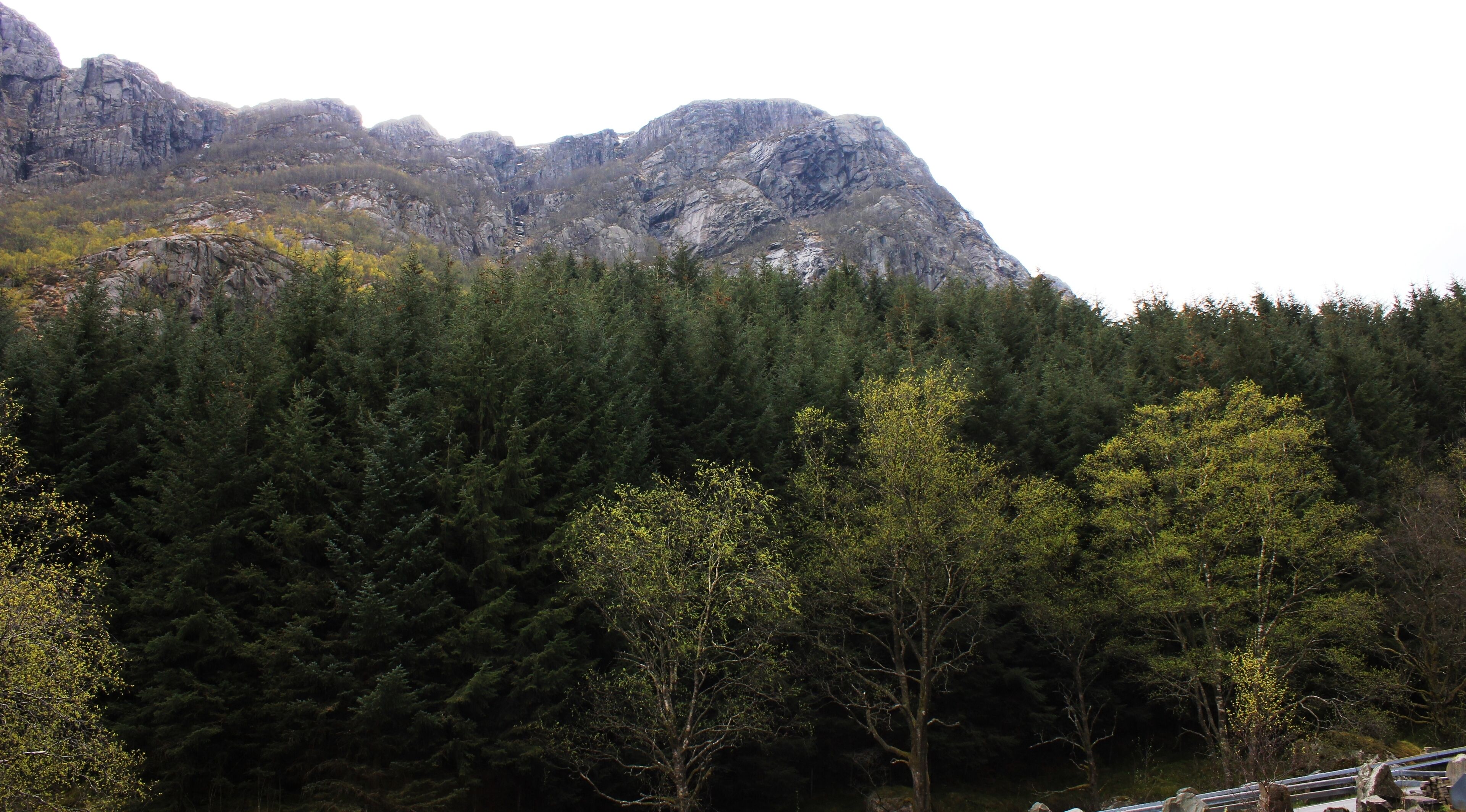 superior double room, 1 double bed | view from room