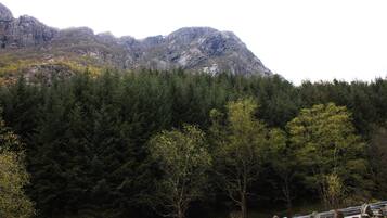 A mountainous landscape with dense forest and rocky cliffs.
