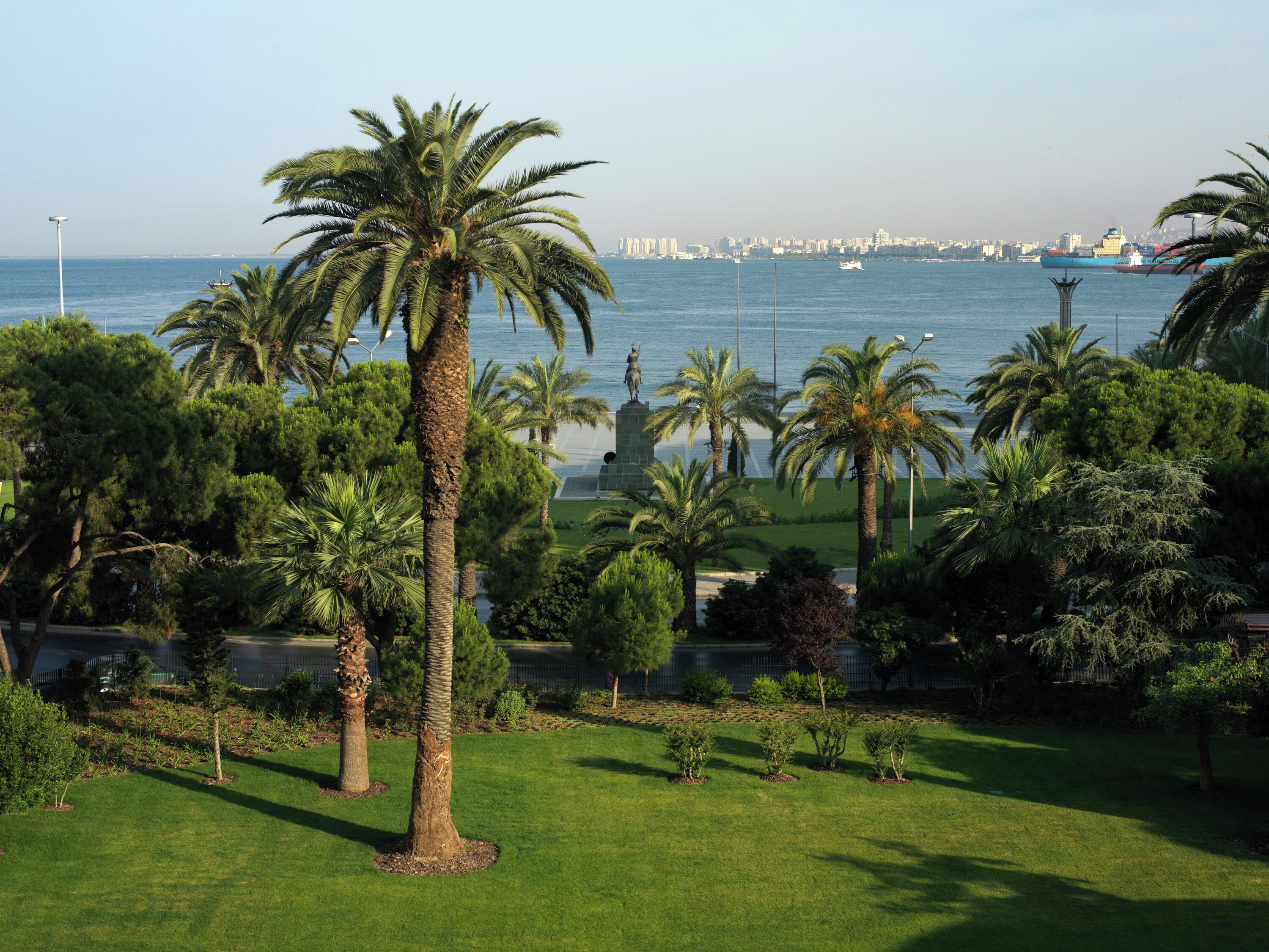 A park with palm trees and a view of the sea and city skyline.