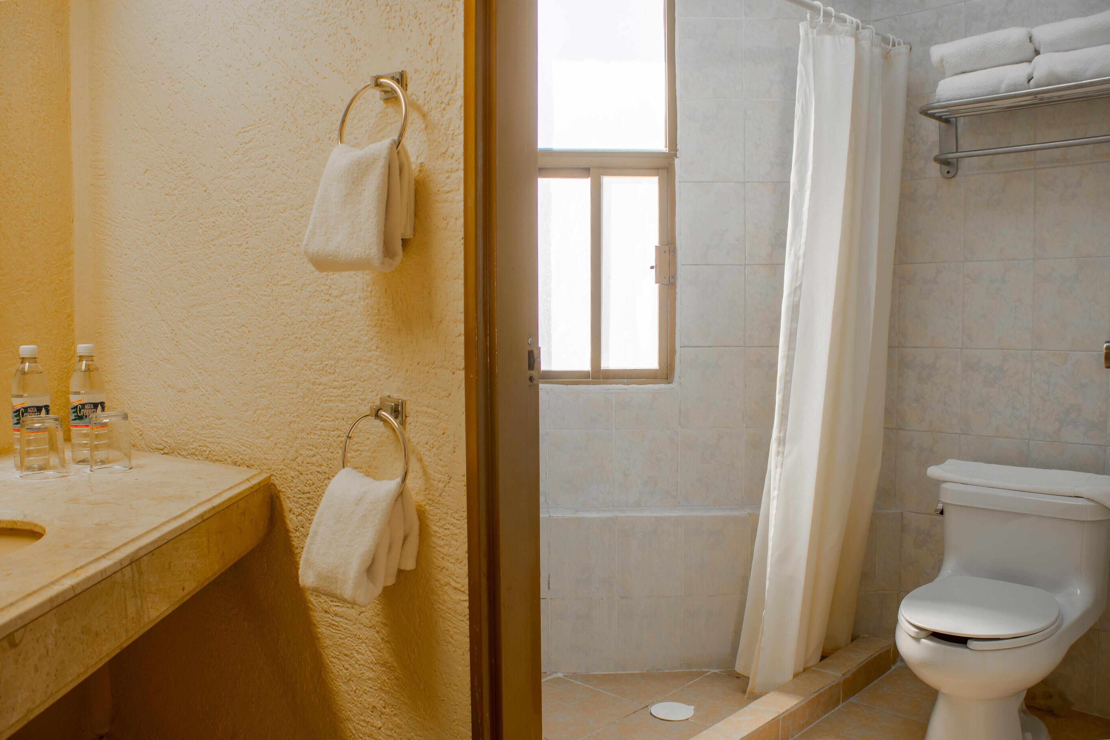A bathroom with a toilet, a shower, and a sink with bottles.