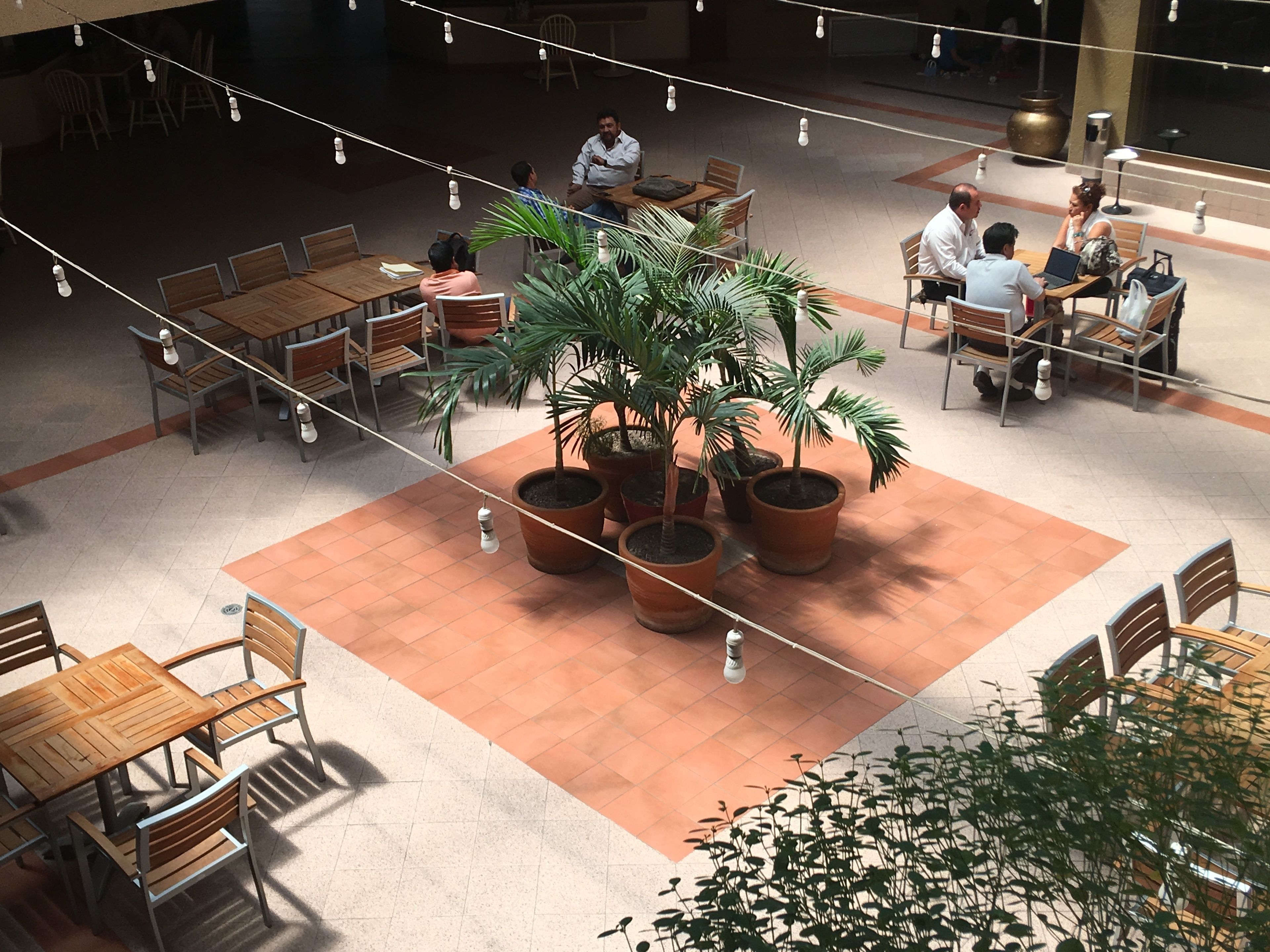 Un amplio espacio interior con varias mesas y sillas de madera, rodeado de plantas en macetas.