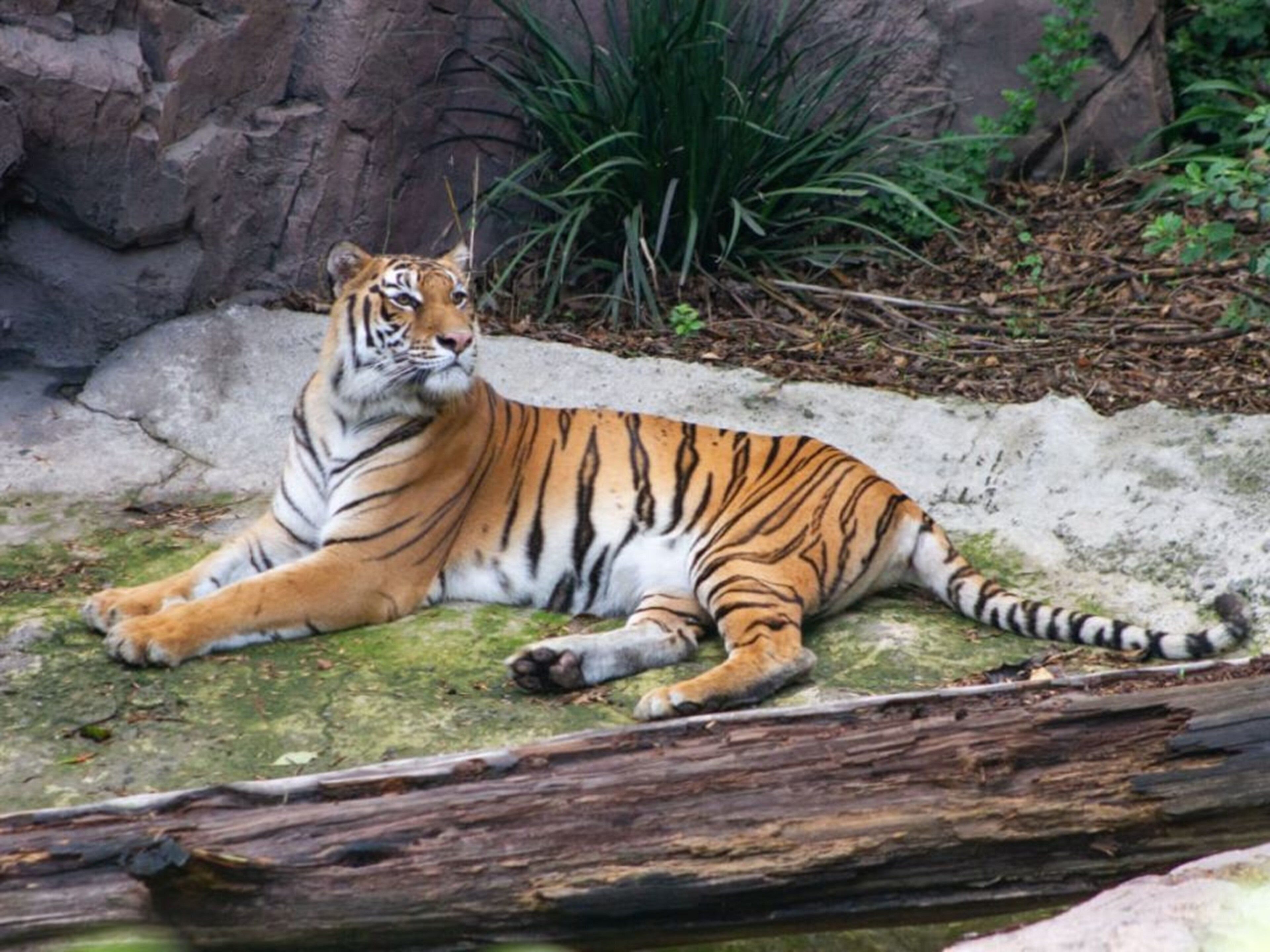 Foto - Holiday Inn Express Ciudad de Mexico Condesa by IHG