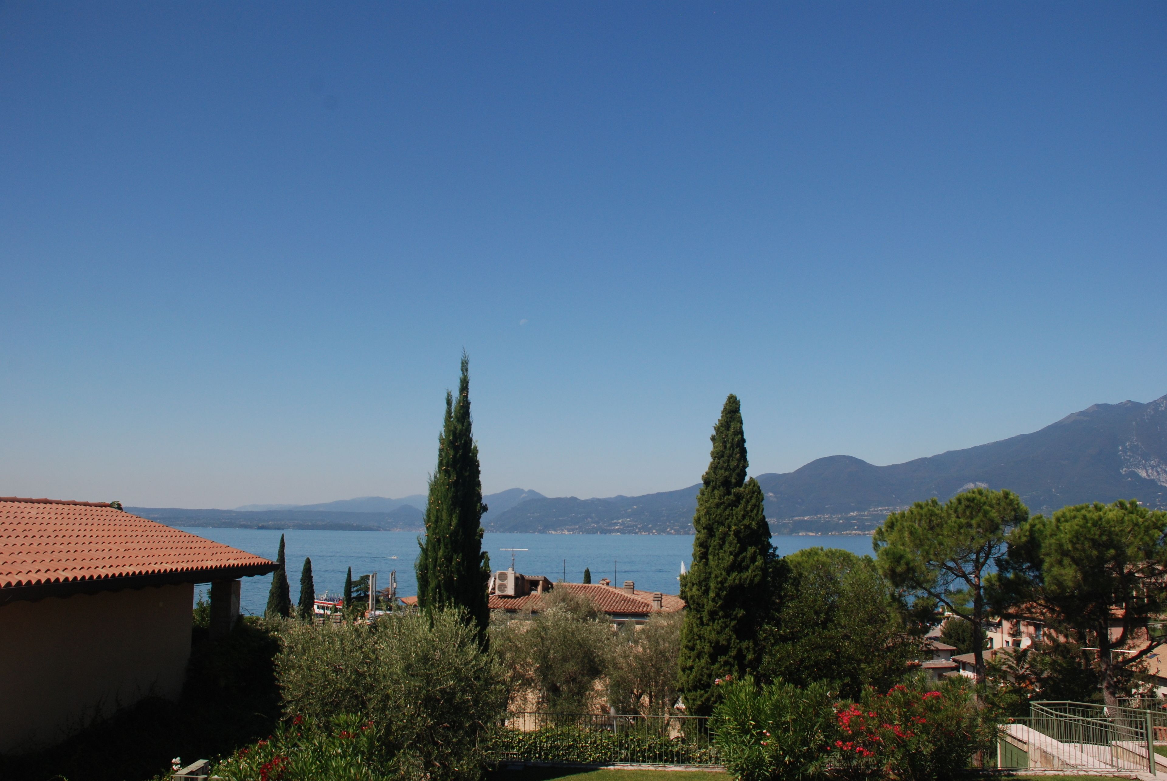 A coastal view with buildings, cypress trees, and a clear blue sky.