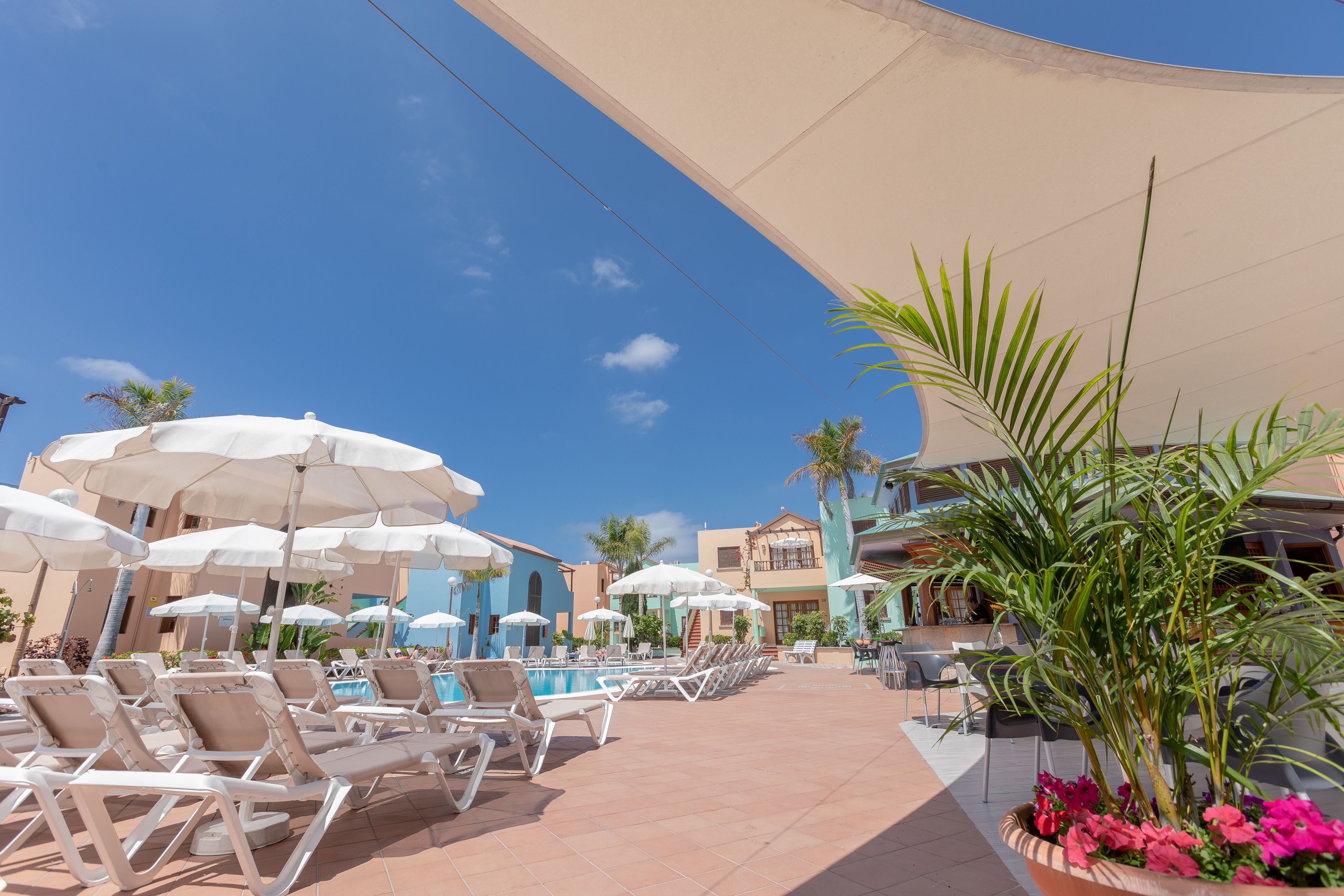 Un espace aménagé au bord de la piscine, avec des chaises longues et des parasols, une piscine, et un bâtiment à la façade bleue.