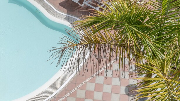 A pool area with lounge chairs and umbrellas, a checkered floor, and a tiled pool edge.