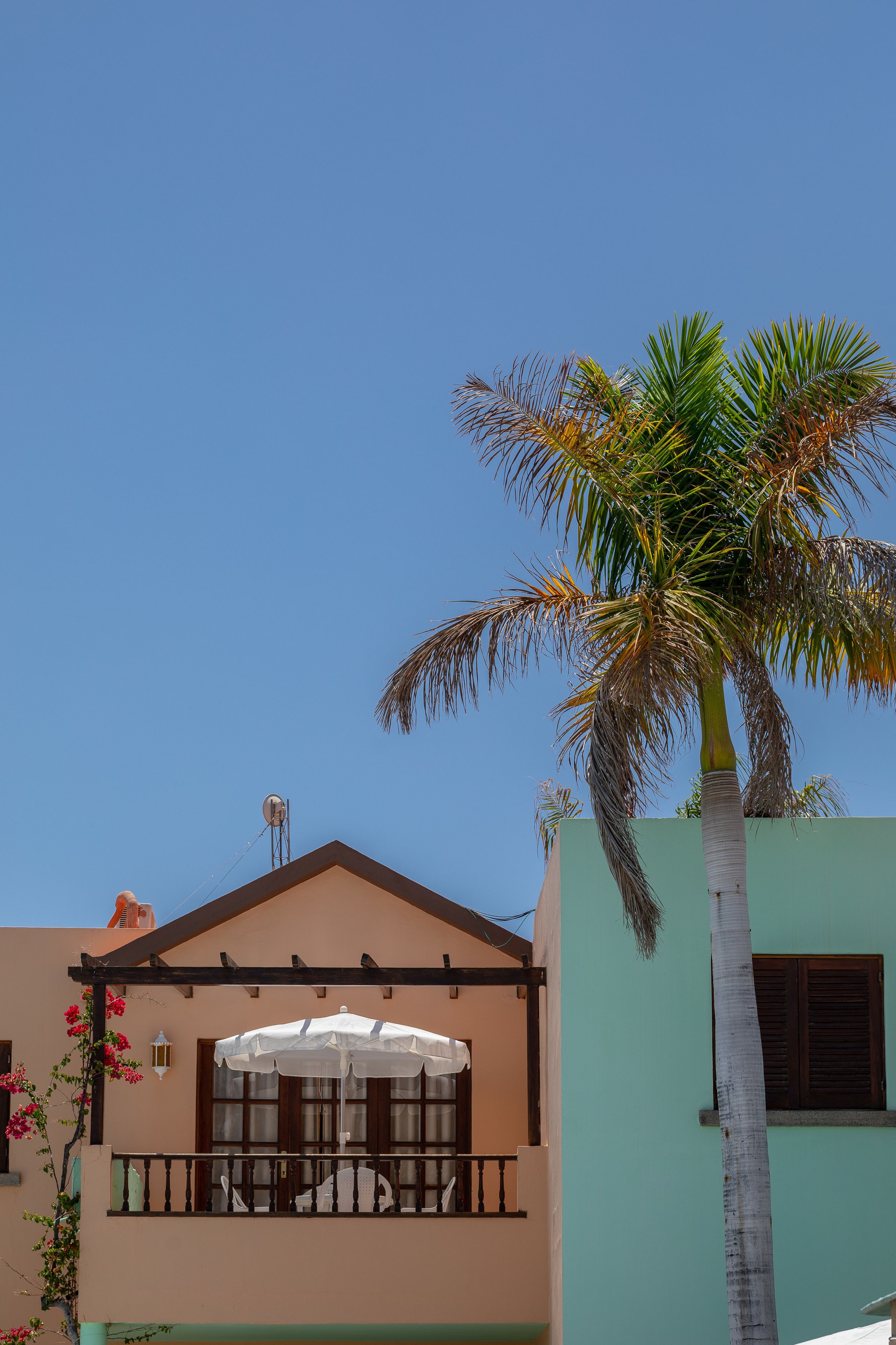 Un edificio con balcón, una palmera y un cielo azul despejado.