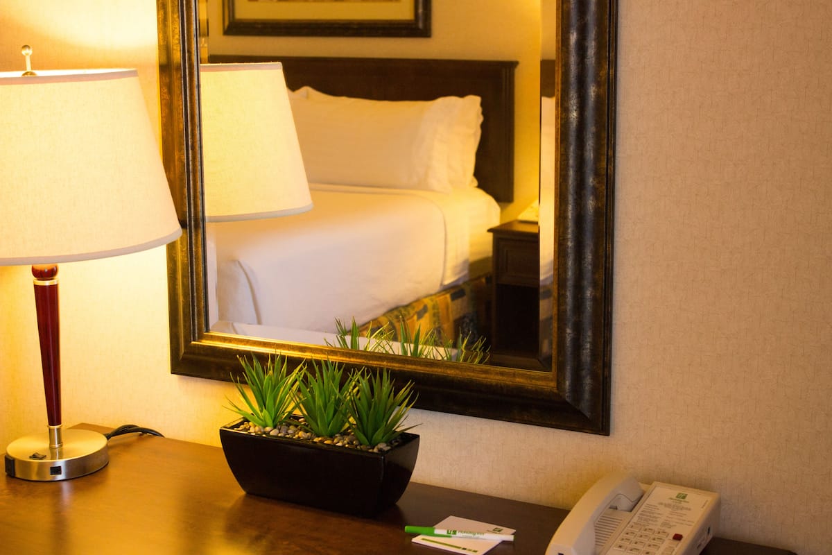 A hotel room with a bed, a bedside lamp, a mirror, a plant, and a telephone.