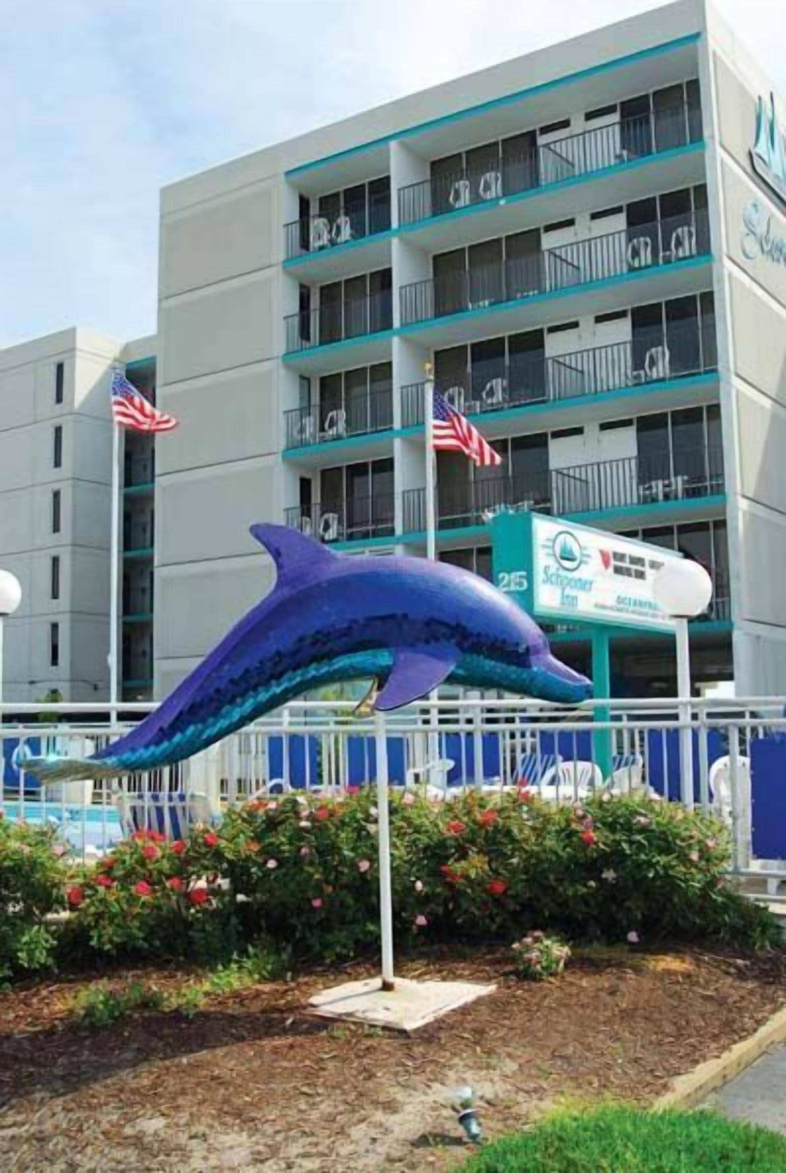 Foto - The Schooner Inn