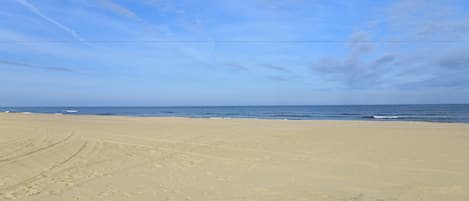 A beach with a clear sky and ocean in the background.