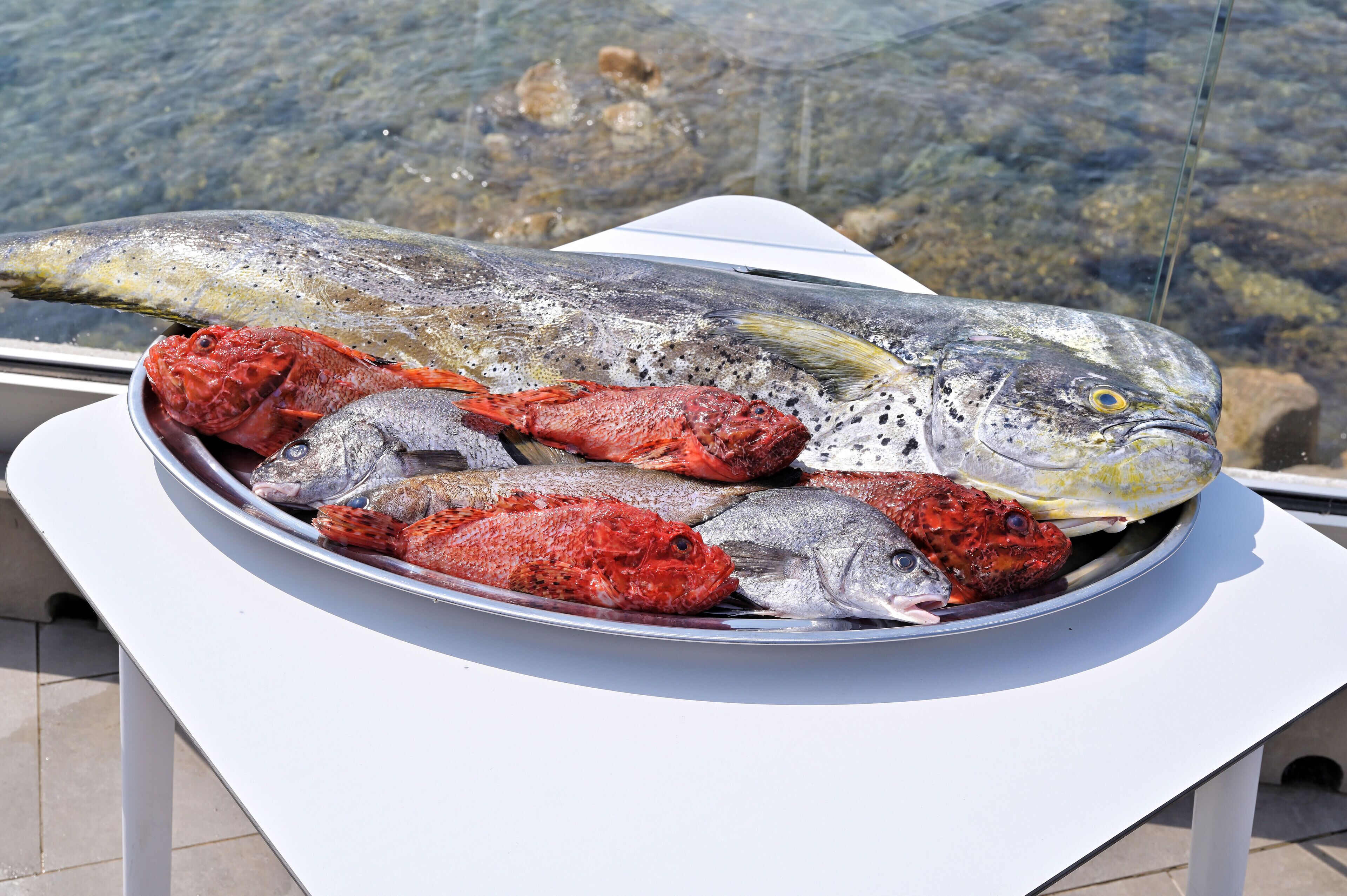 breakfast, lunch, dinner served; mediterranean cuisine, pool views