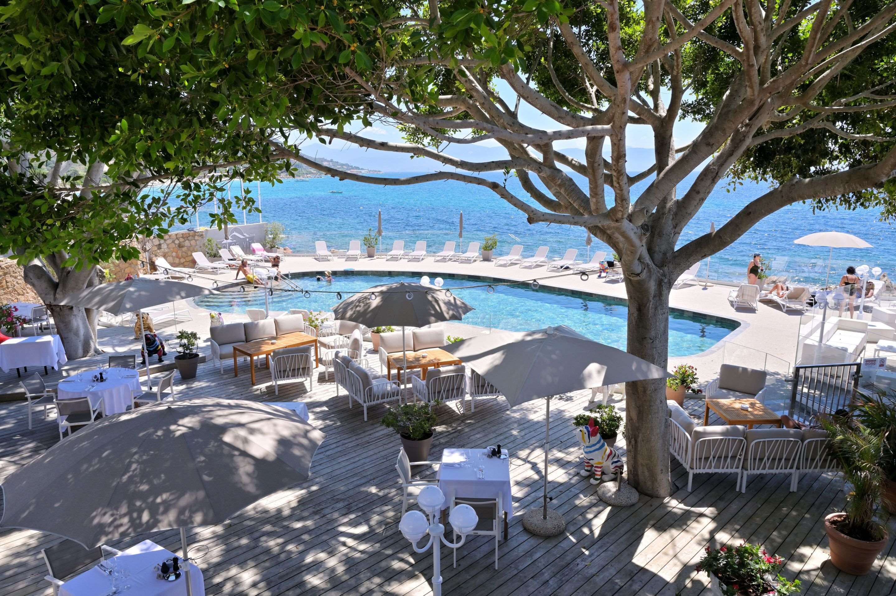 Foto - Hôtel Restaurant Dolce Vita