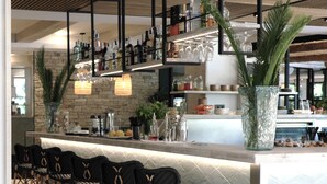 A bar area with wicker chairs, a countertop with bottles and glasses, and a large potted plant.