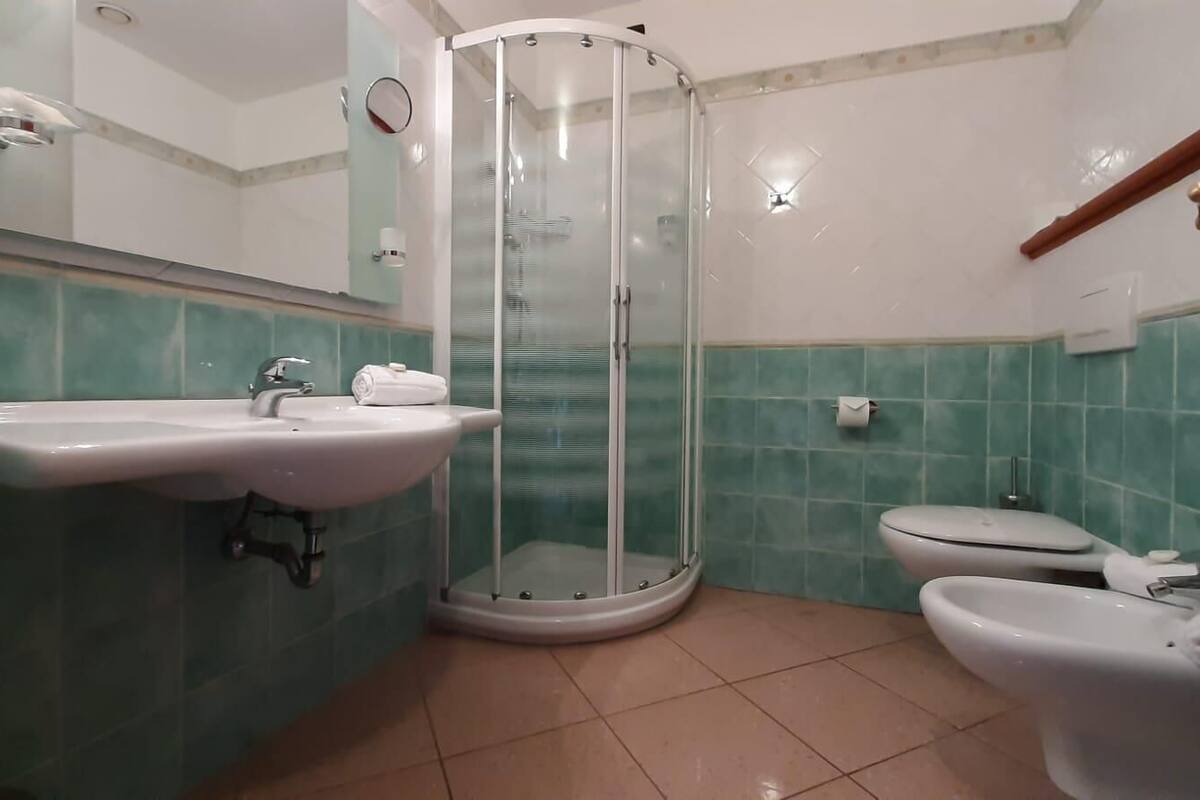 shower, rainfall showerhead, hair dryer, bidet